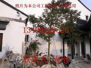 苏州园林艺术 从规划设计到绿化养护的完美融合