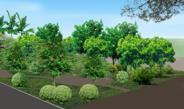 城市园林绿化工程施工中的植物养护策略