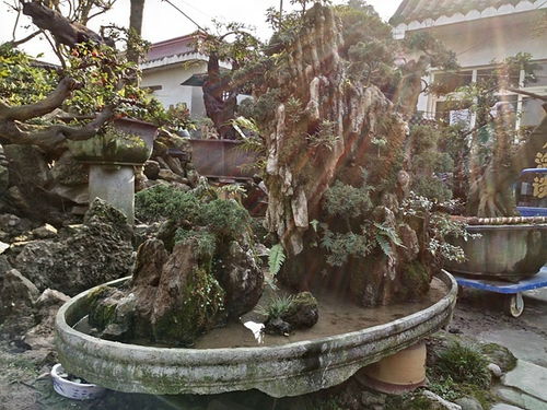 成都市光和园林艺术有限责任公司 专业园林绿化设计与施工服务