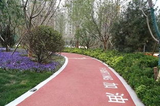 楼盘景观进化论 从园林绿化到生态养护，现代社区绿化知多少