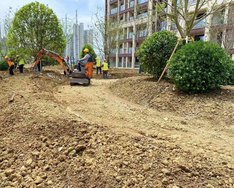 专业绿化，匠心养护 让园林之美历久弥新