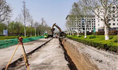 29条道路、55个小区改造！坊子区雨污分流改造工程全面启动，同步推进精细化绿化养护