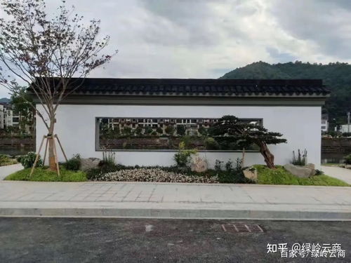 园林绿化施工五大细节要点，提高成活率指南